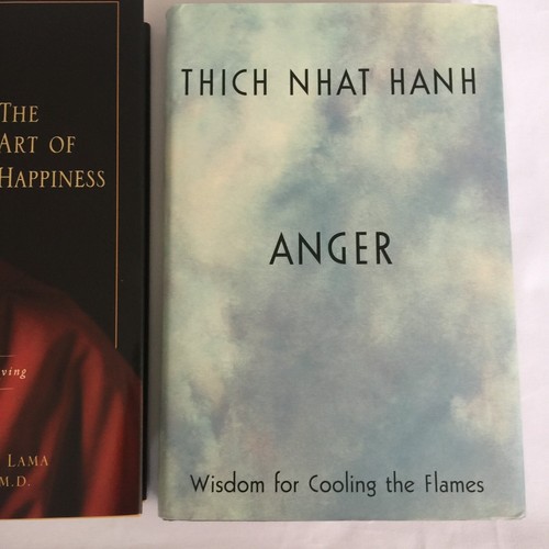 3 ART OF HAPPINESS ETHICS DALAI LAMA ANGER THICH NHAT HANH HARDCOVER BOOK LOT - Picture 9 of 19