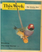 This Week Magazine December 4 1955 Jeannie Carson William Brandon Frank Everest