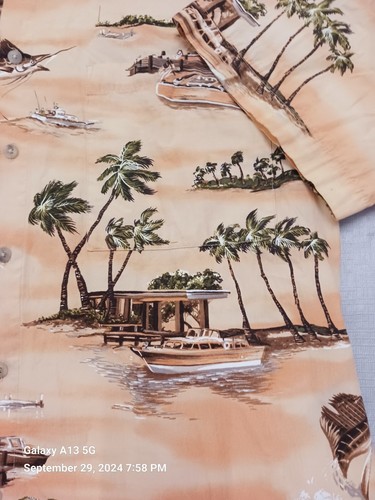 Hawaiian Tropical Rare Pierre Cardin button up shirt. Mens L - Picture 5 of 16