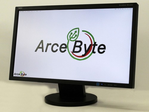 NEC MONITOR PC 22" ACCUSync AS222WM DISPLAY VGA DVI DVR DESKTOP FATTURABILE - Imagen 8 de 22