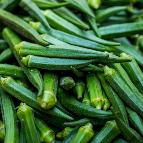 100 Emerald Okra Seeds - Everwilde Farms Mylar Seed Packet - Picture 3 of 3