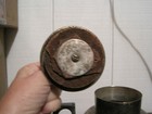 Bild 8 von 12