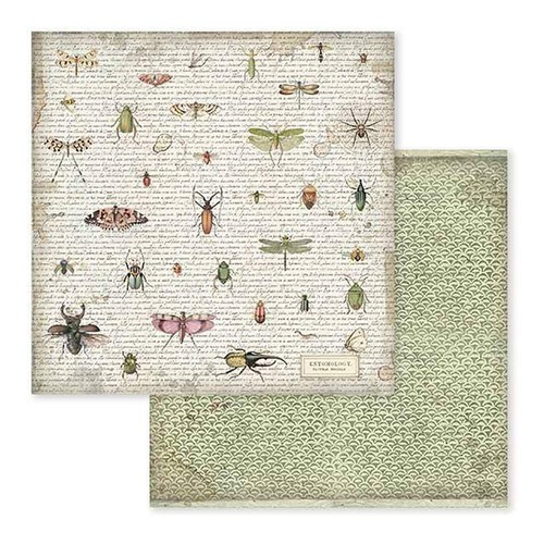 Intl Scrapbooking Paper, Multi-Colored 10 Pack - Picture 3 of 8