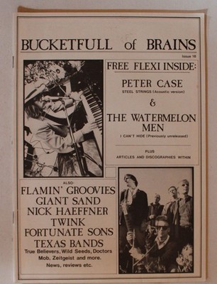 UK Bucketfull Of Brains Magazine #18 1986 Peter Case Watermelon Men Flamin Groov