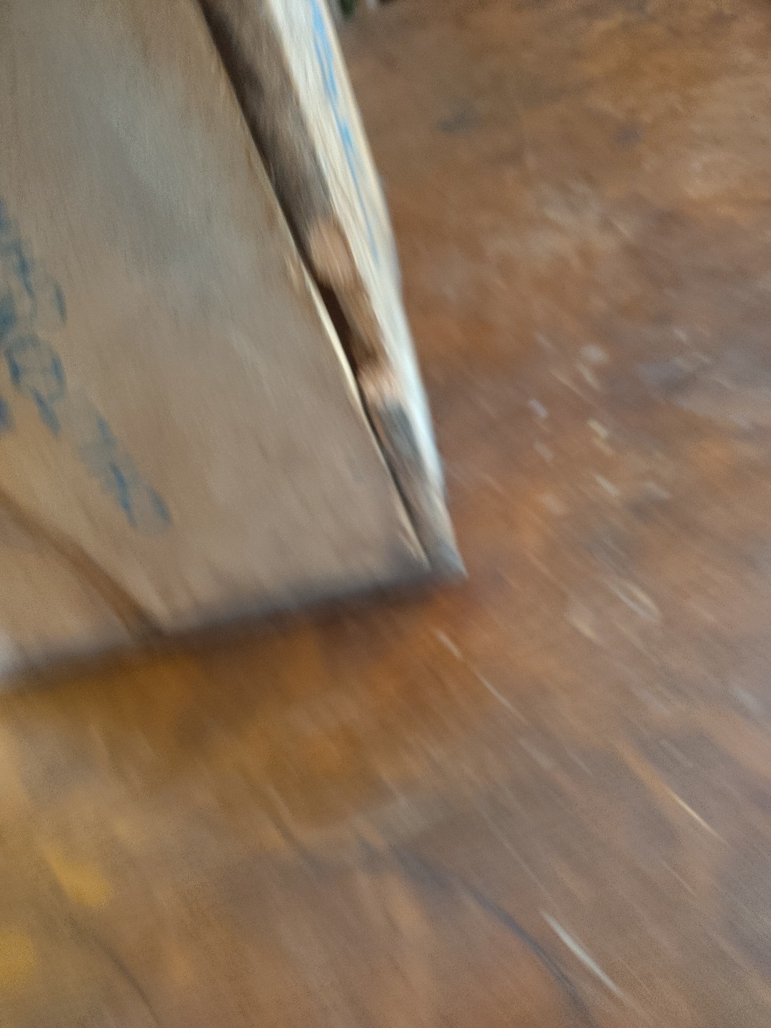 Picture 21 of 21