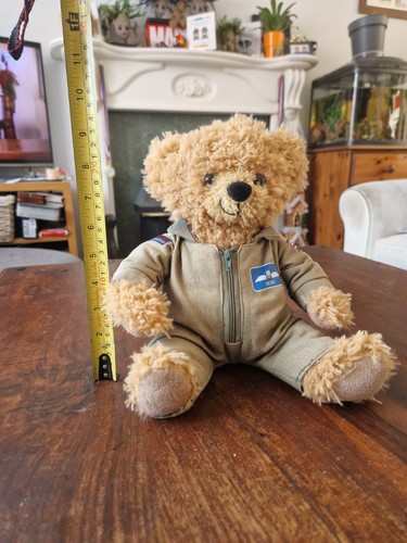 Lovely Vintage Pilot Hero Bear, Royal Air Force Teddy bear - Picture 6 of 7