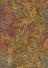 Bild 158 von 179