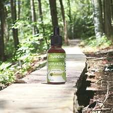 Gotu Kola Tincture - (The Student Herb) Alcohol Free