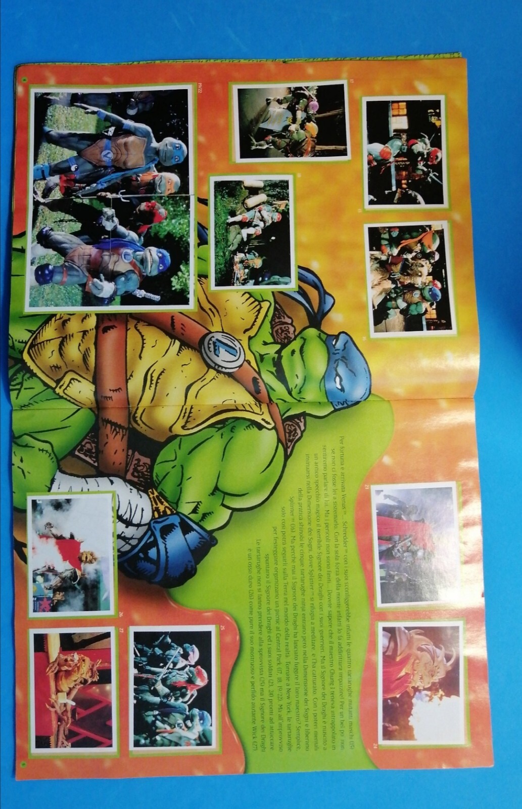 Foto 6 di 12