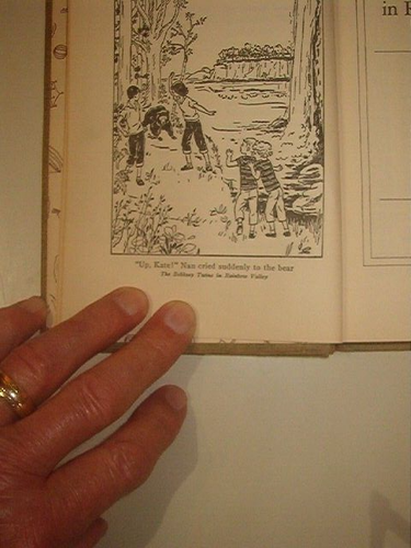Vintage - Bobbsey Twins in Rainbow Valley by Laura Lee Hope - H/C - 1950 - VG - Imagen 5 de 8