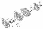 Motori completi Per Fly per moto