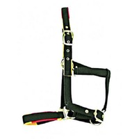 Horseware Nylon Padded Headcollar With Horseware Logo In Whitney Gold Horseware Nylon Padded Headcollar With Horseware Logo In Whitney Gold
