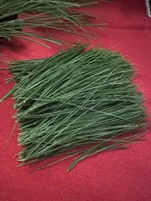 Eastern white pine needles for teas, infusions and decorating 8 Oz Bundle