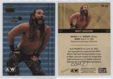 2022 Skybox Metal Universe AEW All Elite Wrestling Star Sapphires Matt Jackson