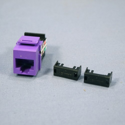 Leviton Purple Cat 3 Data Phone Quickport Jack Cat3 RJ45 Telephone 41108-RP3 - Bild 2 von 4