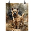 Norfolk Terrier Dog Art Print, Dog Wall Art, Animal Art Print, Animal Art Poster