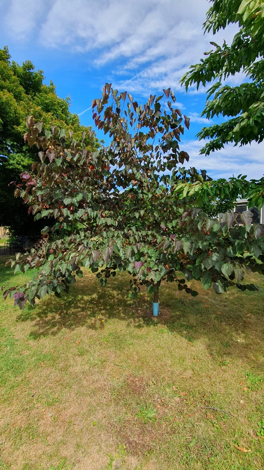Picture 9 of 14