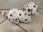 Foto 3 di 3