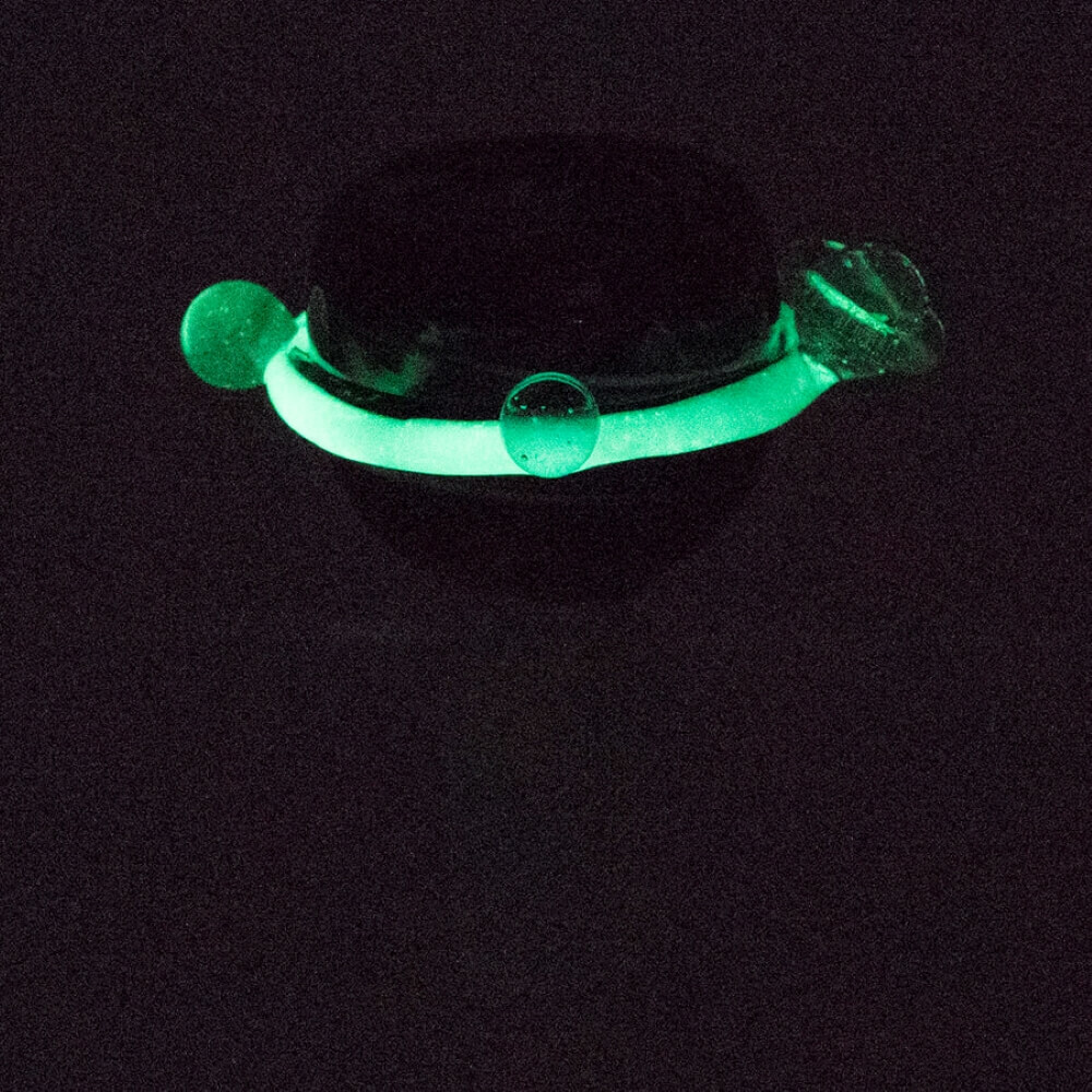 Picture 9 of 10