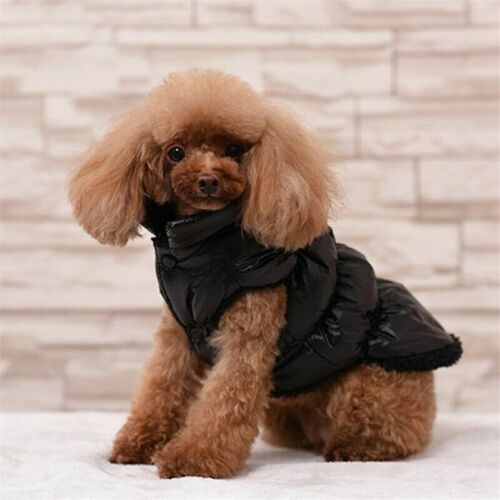 Haustier Welpe Jacke Winter kleiner Hund daunen warm gepolsterte Weste wasserdicht Mantel Kleidung - Bild 11 von 19