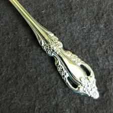 CHOICE Oneida RAPHAEL Stainless Distinction Deluxe Glossy Silverware