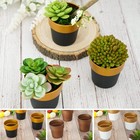 6 pcs 3"  Metallic Round PLASTIC FLOWER PLANT POTS Wedding Party Events Supplies