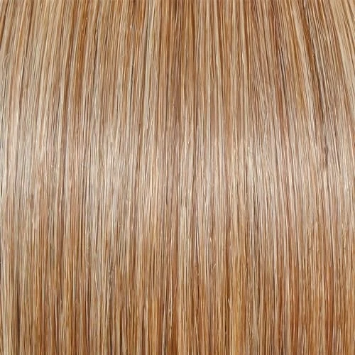 RAQUEL WELCH SIMMER 精英分层肩长发饰 RAQUEL WELCH WIG — 第 2/4 张图片