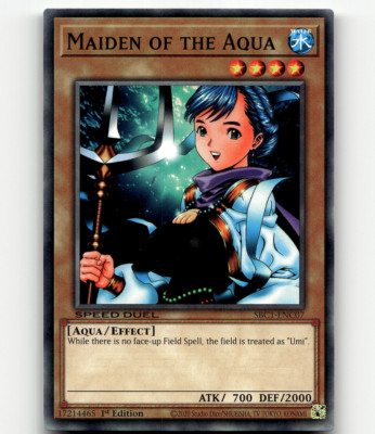 Yugioh Maiden of the Aqua Speed Duel: Streets of Battle City