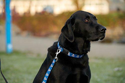RC Pets 3/4 X 4 Ft Primary Collection Dog Leash - Black, Reflective & Made In Canada