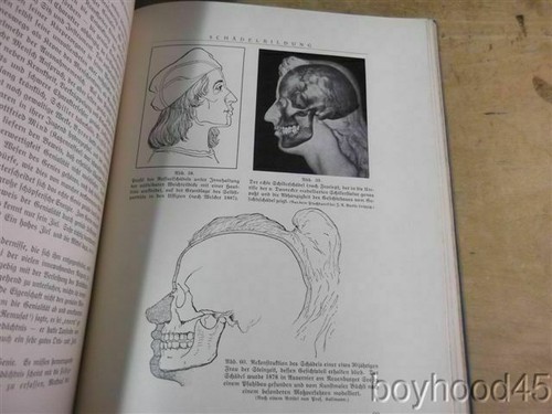 Praktisch Menschenkenntnis by Reinhold Gerling-Study of Character/Personality - Picture 6 of 12