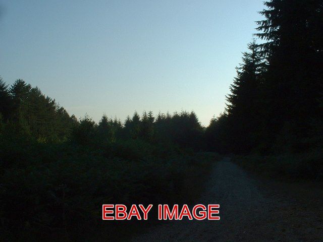 Bild 1 von 1