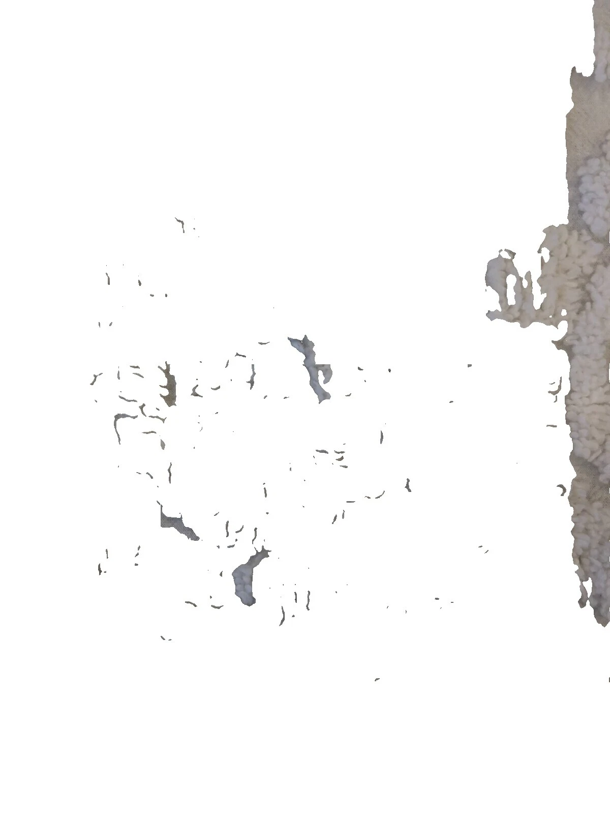 Chenille Floral Fabric Multicolor