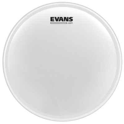 Evans B13UV1 13 Zoll UV1 Trommelkopf (NEU)