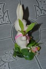 Foto 5 di 11