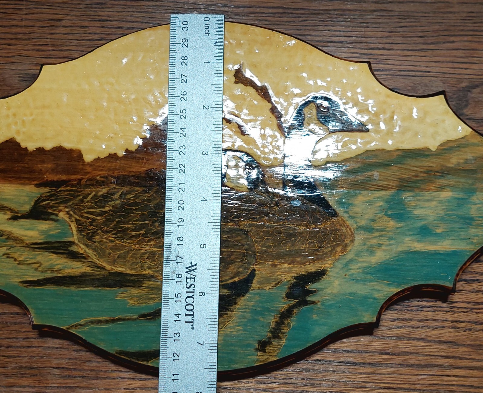 Picture 12 of 12