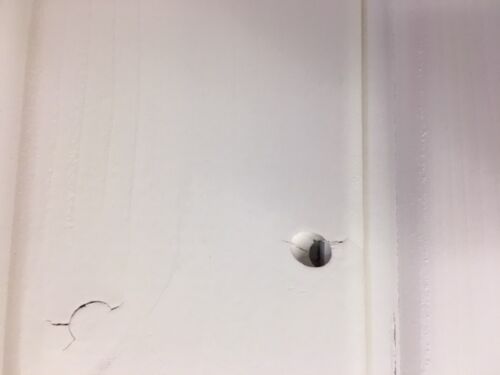 28€/m² Fassadenprofil Fichte weiß endbehandelt Profilholz Fassade Dach Schalung - Bild 4 von 5