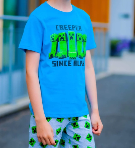 MINECRAFT shorts and T-shirt set - Picture 2 of 5