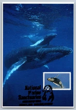 #5713c National Marine Sanctuaries Humpback Whale FDC Maxi Card