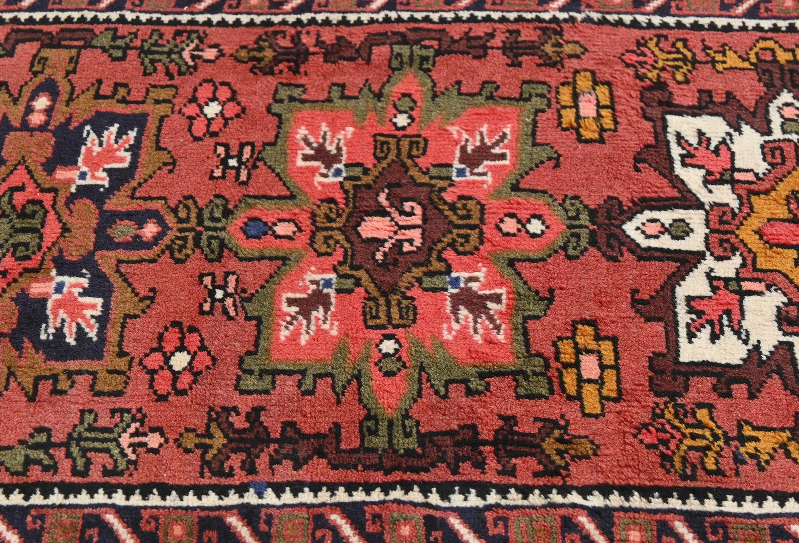 Picture 6 of 11