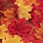 1100 PCS Multicolored Fall Artificial Maple Leaves, Thanksgiving, Table Decor
