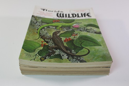 Florida Wildlife Sportsman Magazine Lot Bundle 1968-1972 Fishing Hunting 24 VTG - Picture 19 of 24