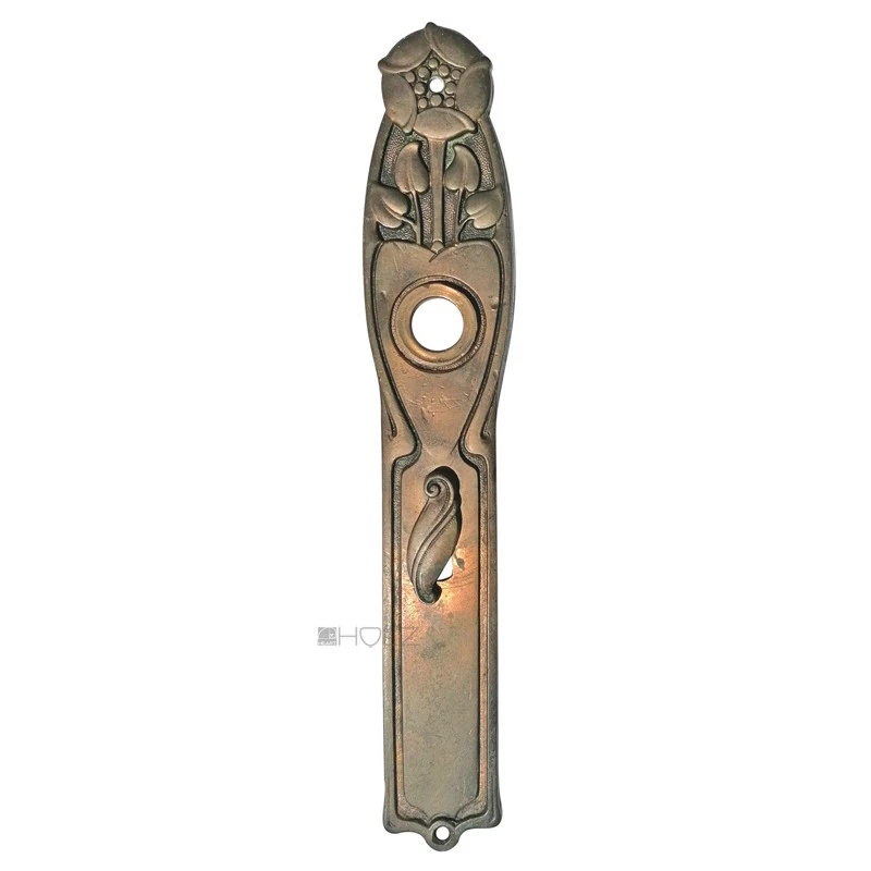 Plaque Longue Art Nouveau Floral Lis D'Eau Vieux Poignée de Porte 17.8mm 68 - Photo 1/1
