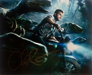 Chris-Pratt-Hand-Signed-Autographed-8-x10-Photo-Jurassic-World-Includes-COA