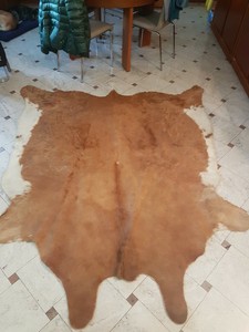 Tappeto Pelle Di Annunci Dacquisto Vendita E Scambio