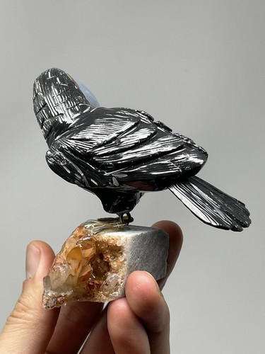 Splendida scultura in pietra Bird Of Paradise 6,6 oz Jasper Energy Reiki L5 - Foto 7 di 12