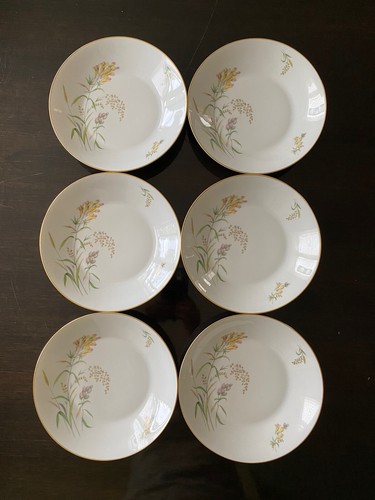 Excellent 6 Rosenthal Coupe Pasta Salad Soup Bowls Bettina Summer Blossom 8 3/4” - Picture 2 of 15