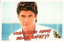 V14954 Australia Avant Card #14954 Concerned About Beach Safety postcard