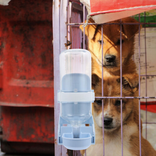 Dogs Water Feeder Guinea Pig Water Bottle Rabbit Water Feeder Dog Drinking Kit - Picture 3 of 12
