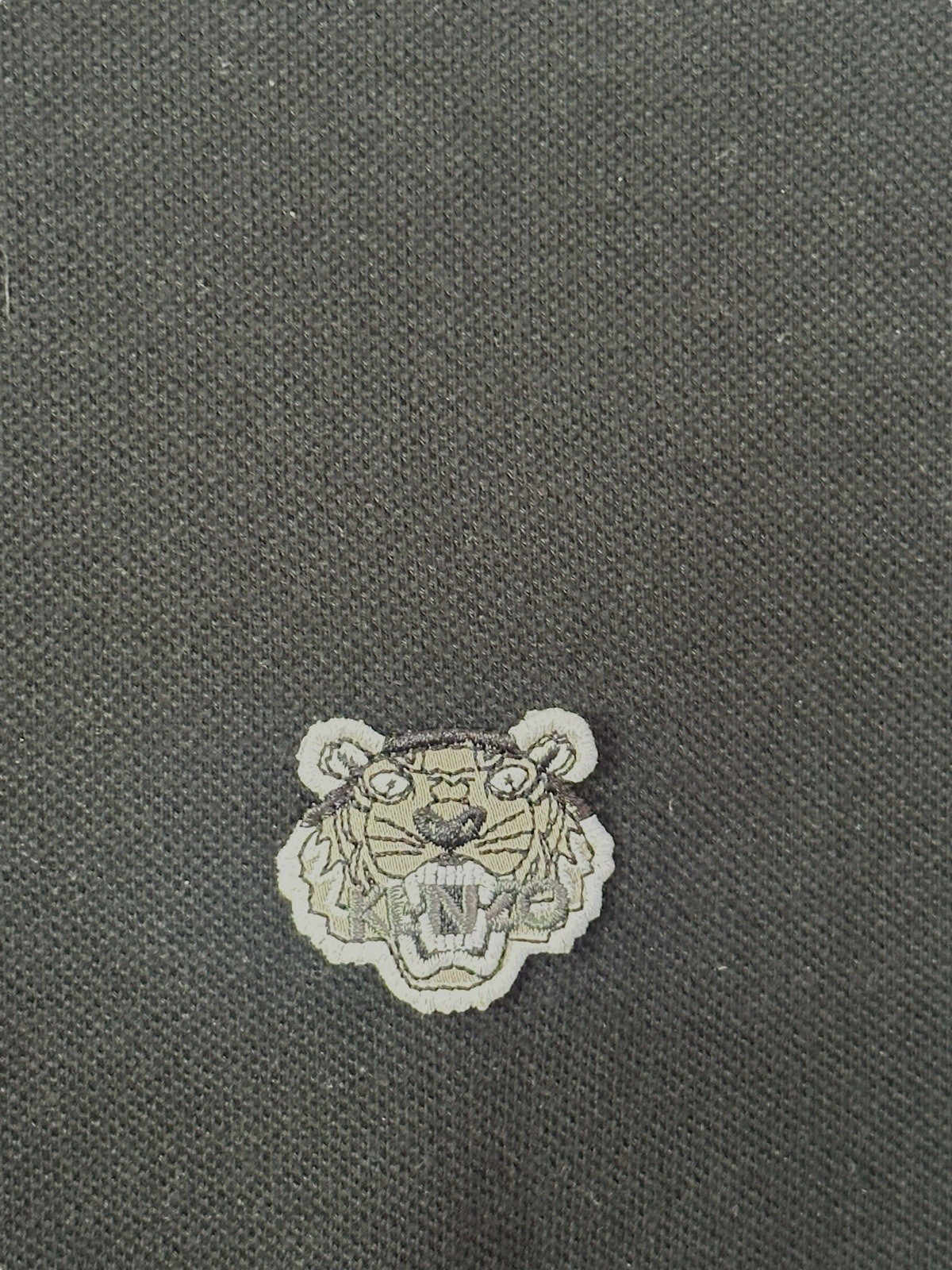Picture 8 of 8