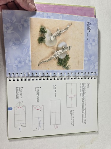 The Guide to Hawaiian-Style Money Folds Jodi Fukumoto 2006 ABC Souvenir Origami - Bild 14 von 18